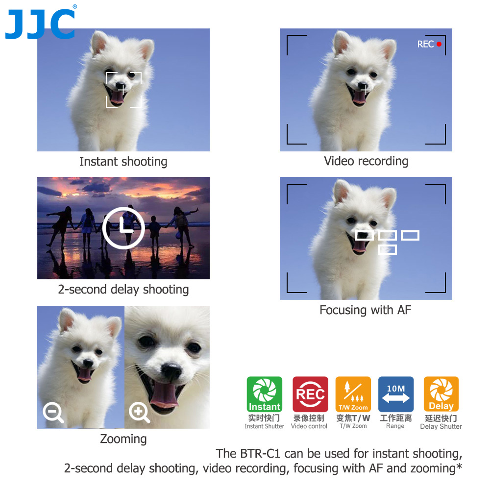 Pilot Bluetooth JJC BR-E1 do C – Canon Camera Eos R8 recenzja i cena